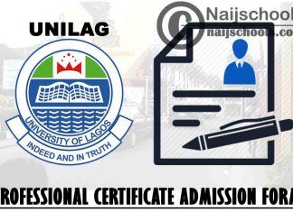 University of Lagos (UNILAG) Professional Certificate Programme Admission Form for 2021/2022 Academic Session | APPLY NOW
