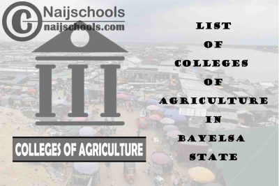 Full List of Colleges of Agriculture in Bayelsa State Nigeria