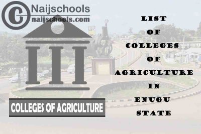 Full List of Colleges of Agriculture in Enugu State Nigeria