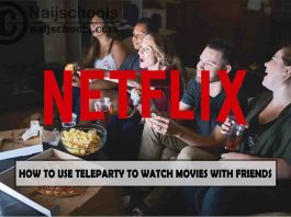 How to View Netflix Party (Teleparty) Movies with Friends