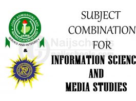 Subject Combination for Information Science and Media Studies