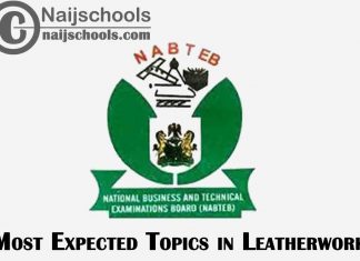 Most Expected Topics in 2023 NABTEB Leatherwork