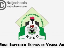 Most Expected Topics in 2022 NECO Visual Art SSCE & GCE | CHECK NOW