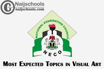 Most Expected Topics in 2023 NECO Visual Art SSCE & GCE | CHECK NOW