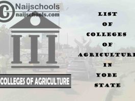 List of Colleges of Agriculture in Yobe State Nigeria