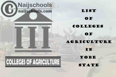List of Colleges of Agriculture in Yobe State Nigeria