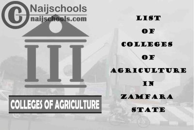 List of Colleges of Agriculture in Zamfara State Nigeria