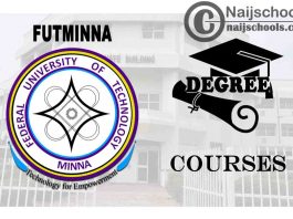Degree Courses Offered in FUTMINNA to Study