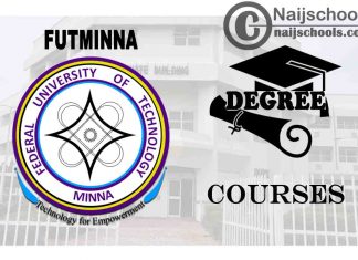 Degree Courses Offered in FUTMINNA to Study