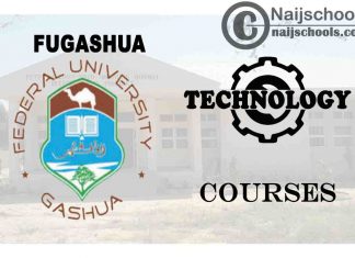 FUGASHUA Courses for Technology & Engine Students