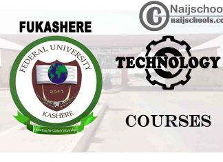 FUKASHERE Courses for Technology/Engine Students