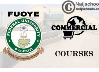FUOYE Courses for Commercial Students to Study
