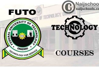 FUTO Courses for Technology & Engineering Students