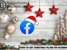 How to Get the Facebook 2022 Christmas Filter on Your Account
