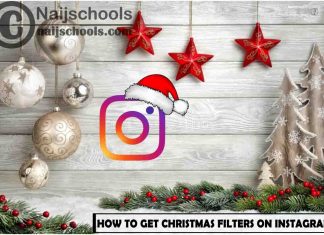 How to Get Instagram 2022 Christmas Filters on Your Account