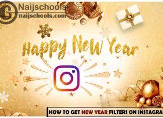 How to Get New Year Filters on Your Instagram Account