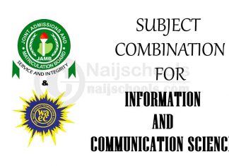 Subject Combination for Information and Communication Science