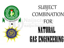 Subject Combination for Natural Gas Engineering