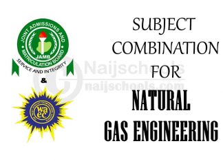 Subject Combination for Natural Gas Engineering