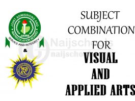 Subject Combination for Visual and Applied Arts