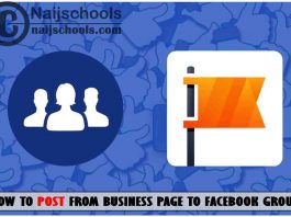 Post from Your Business Page to a Facebook Group