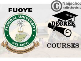 Degree Courses Offered in FUOYE for Students to Study