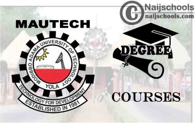 Degree Courses Offered in MAUTECH for Students
