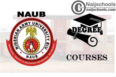 Degree Courses Offered in NAUB for Students to Study