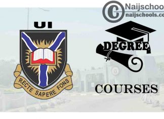 Degree Courses Offered in UI for Students to Study