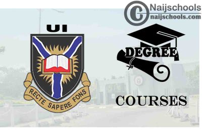 Degree Courses Offered in UI for Students to Study