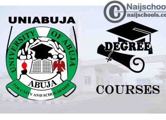 Degree Courses Offered in UNIABUJA for Student