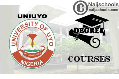 Degree Courses Offered in UNIUYO for Students