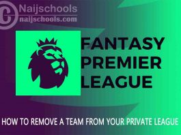 How to Remove a Team from Your FPL Private League