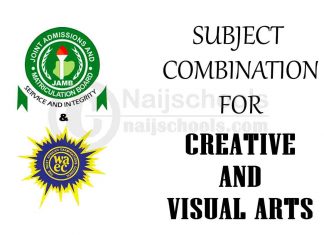 Subject Combination for Creative and Visual Arts