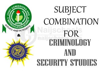 Subject Combination for Criminology and Security Studies
