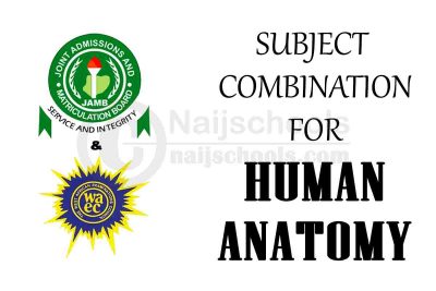 Subject Combination for Human Anatomy