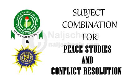 Subject Combination for Peace Studies and Conflict Resolution
