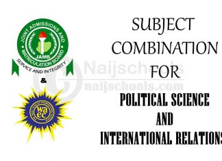 Subject Combination for Political Science and International Relations