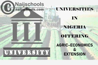 Universities in Nigeria Offering Agric-Economics and Extension
