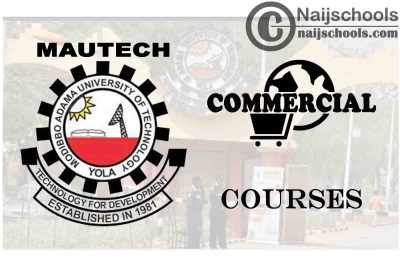 MAUTECH Courses for Commercial Students to Study