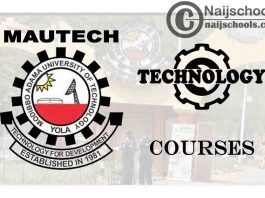 MAUTECH Courses for Technology & Engine Students