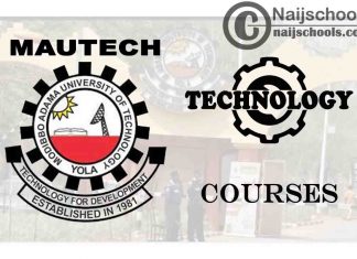 MAUTECH Courses for Technology & Engine Students