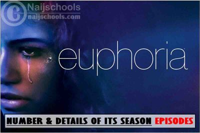 Total Number & Details of Euphoria Season 2 Episodes