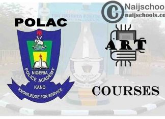 POLAC Courses for Art Students to Study; Full List