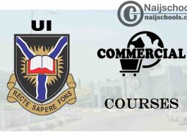 UI Courses for Commercial Students to Study; Full List