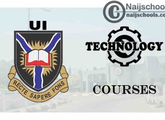 UI Courses for Technology & Engineering Students