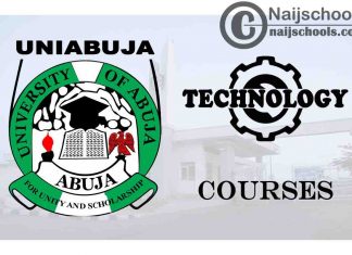 UNIABUJA Courses for Technology & Engine Students