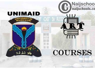 UNIMAID Courses for Art Students to Study; Full List