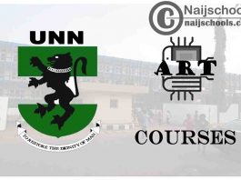 UNN Courses for Art Students to Study; Full List