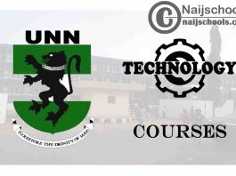UNN Courses for Technology & Engineering Students